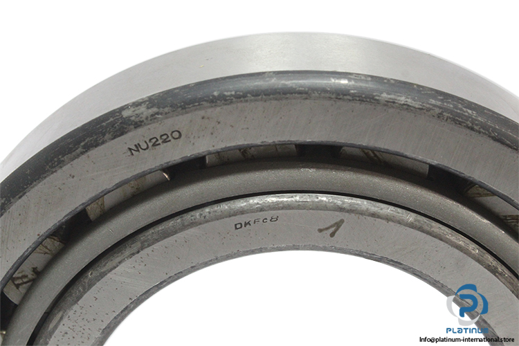 dkfddr-NJ-220-cylindrical-roller-bearing-(new)-2