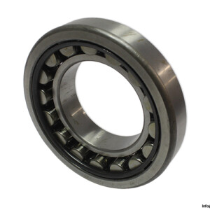 Dkfddr NU 219 Cylindrical Roller Bearing