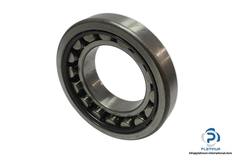 dkfddr-NU-219-cylindrical-roller-bearing-(new)