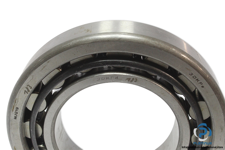 dkfddr-NU-219-cylindrical-roller-bearing-(new)-1
