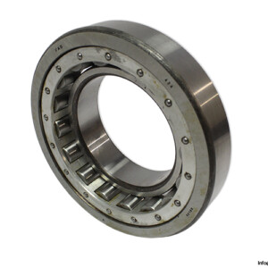 fag-NUL-95--NU-219--cylindrical-roller-bearing-(new)
