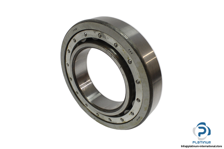 fag-NUL-95--NU-219--cylindrical-roller-bearing-(new)-1