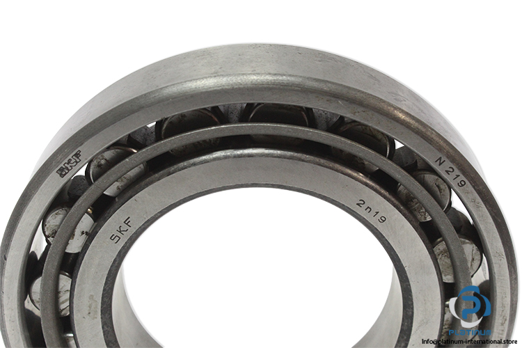 skf-N-219-cylindrical-roller-bearing-(new)-2
