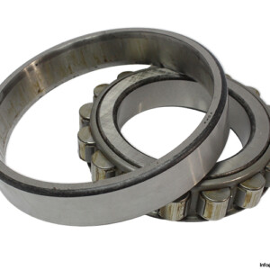 dkfddr-N-220-cylindrical-roller-bearing-(new)