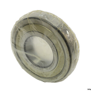 ntn-6316-ZZ_2A-deep-groove-ball-bearing-(new)-(carton)
