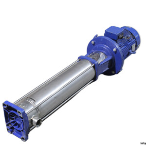 Lowara 15SV13P110T Multistage Pump
