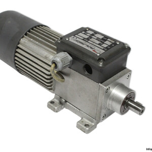Minimotor ACK320P2T AC Gearmotor