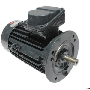 Stubbe 1TZ9503-0EA42-2FB4-Z Electric Motor