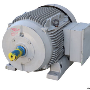 Emas M315 M2 Electric Motor