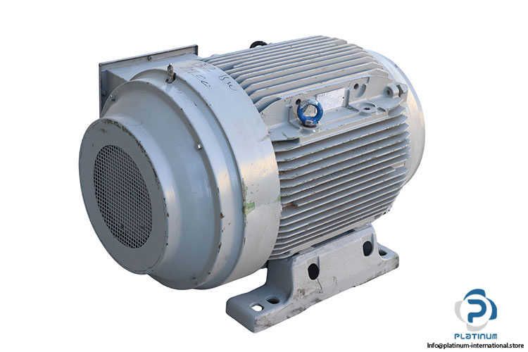 emas-M315-M2-electric-motor-(used)-1