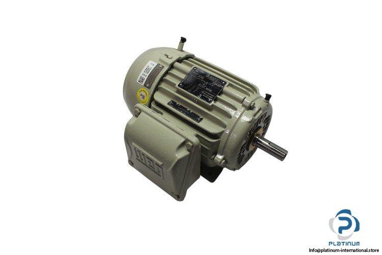 weg-W22-143_5T-three-phase-induction-motor-(new)