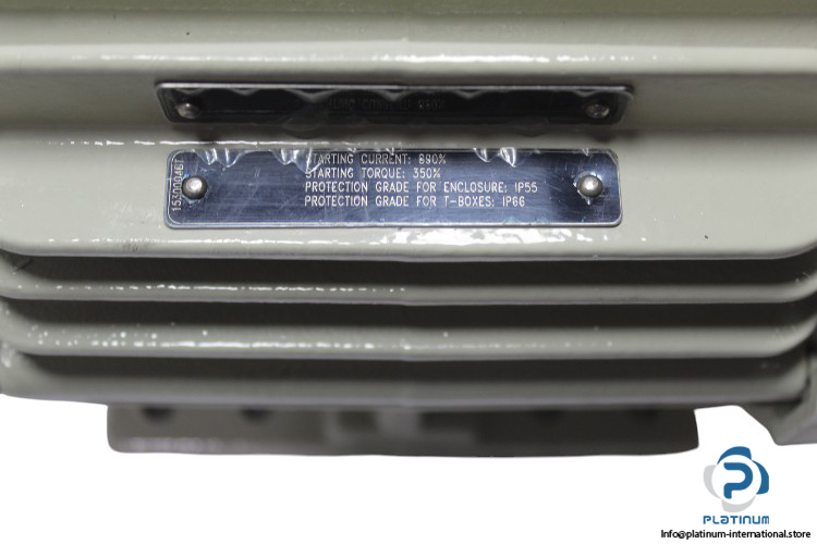 weg-W22-143_5T-three-phase-induction-motor-(new)-2