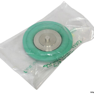 fmi-franceschi-147011956-electric-vessels-ode-membrane-(new)