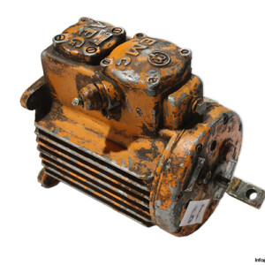 EMG ME 10025/2 Electric Motor