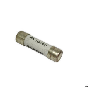 Italweber 1421001 1A-500VAC Fuse