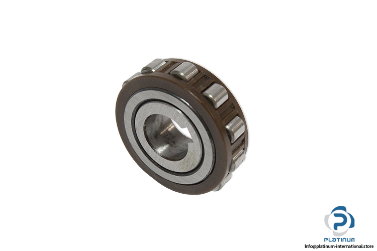 19UZS208T2-eccentric-roller-bearing-(new)