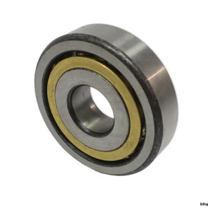 gpz-66406-angular-contact-ball-bearing-(new)-(carton)