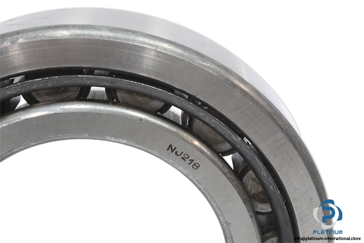 dkfddr-NJ-218-cylindrical-roller-bearing-(new)-2
