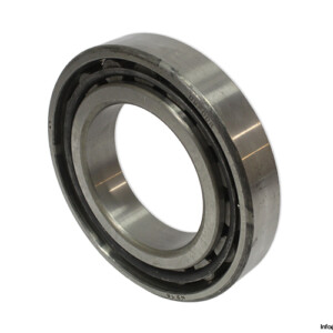 Dkfddr N 216 Cylindrical Roller Bearing