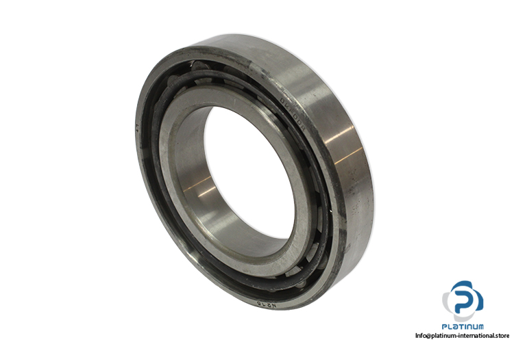 dkfddr-N-216-cylindrical-roller-bearing-(new)