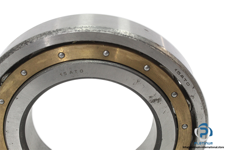 riv-15ATO-cylindrical-roller-bearing-(new)-1