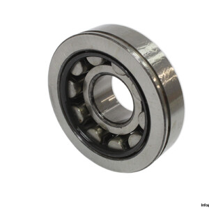 Dkfddr NU 407 N Cylindrical Roller Bearing