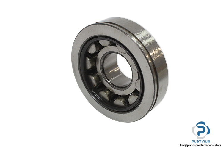 dkfddr-NU-407-N-cylindrical-roller-bearing-(new)