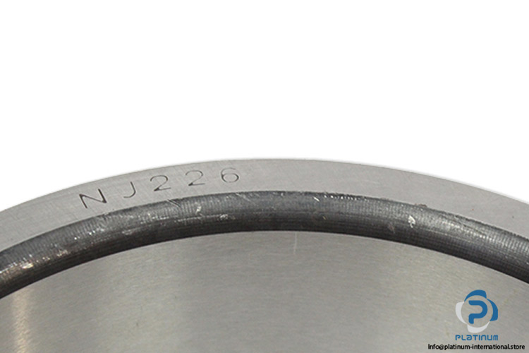 fag-NJ-226-inner-ring-(new)-(carton)-1