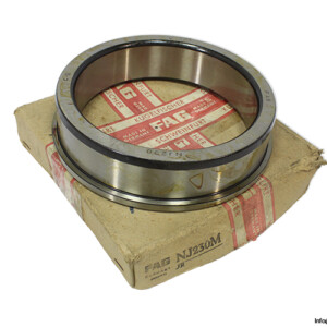 FAG NJ 230 Inner Ring