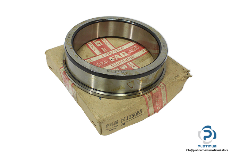 fag-NJ-230-inner-ring-(new)-(carton)