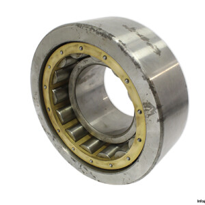 Dkfddr NU 2328 ZS NA C3 Cylindrical Roller Bearing