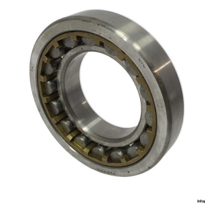 NTN TS2-NU220 Cylindrical Roller Bearing