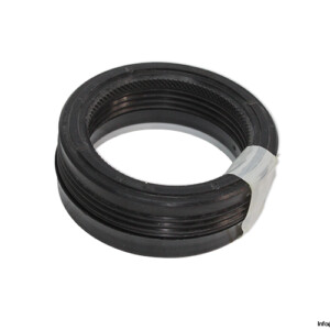 Polypac SM255196/AX Hydraulic Seal
