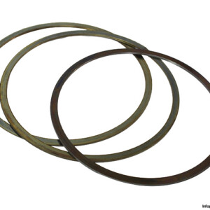 FEY-LAMELLENRINGE-04093860-seal(new)