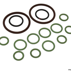 Diplomatic-e4e-52-v-seal-kit(new)