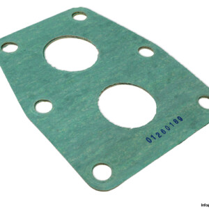 leistritz-01260189-flat-gasket(new)
