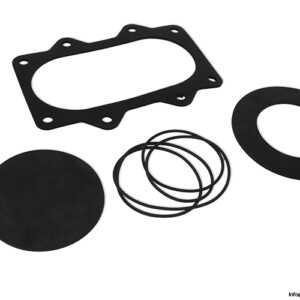 pump-technology-p013381-seal-kit(new)