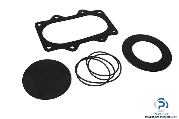 pump-technology-p013381-seal-kit(new)