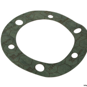 halberg-0215200004-flat-gasket(new)