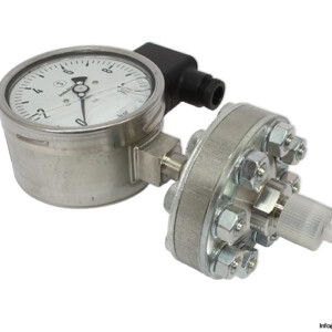 Wika-pgt23.100-pressure-gauge(new).jpg