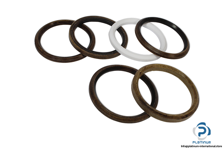 welland-tuxhorn-DMS7-0889-seal-kit-(New)