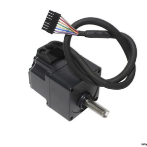Oriental Motor BLHM230KC-GFS DC Motor