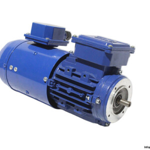 marellimotori-maa-63mb4-b14-3-phase-electeic-motor(new)