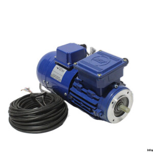 Marellimotori MAA 63MC4 B14 3 Phase Electric Motor