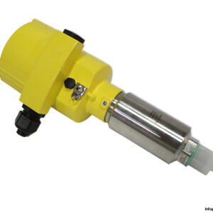VEGA B83.AXLDFGGSZXAIMAX Pressure transmitter