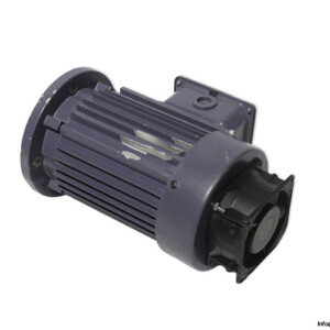 Cema YP-50-0.12-4 Electric Motor