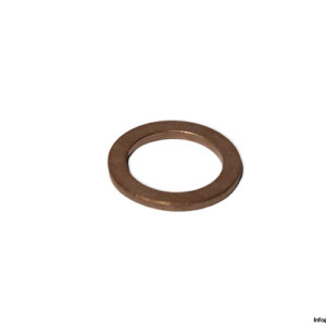 swagelok-CU-4-RP-2-seal-kit-(New)