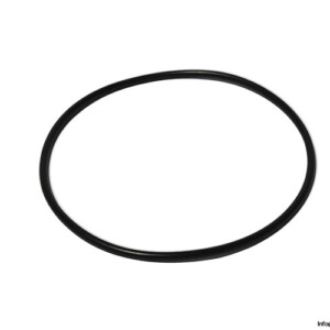 Bianchi Industrial OR 4450 Seal KIT