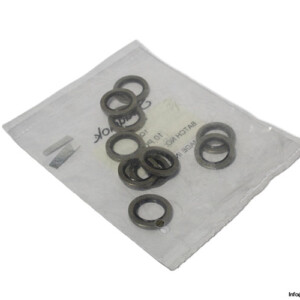 swagelok-SS-4-RS-2V-gasket-(New)