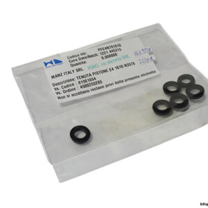 HD Slippers E4 1610 N3578 Piston Seal KIT